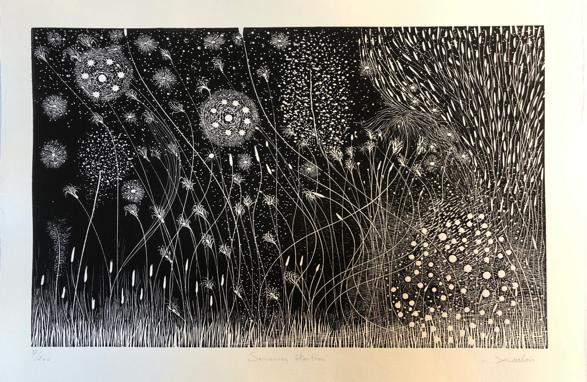 Semences &Eacute;toil&eacute;es